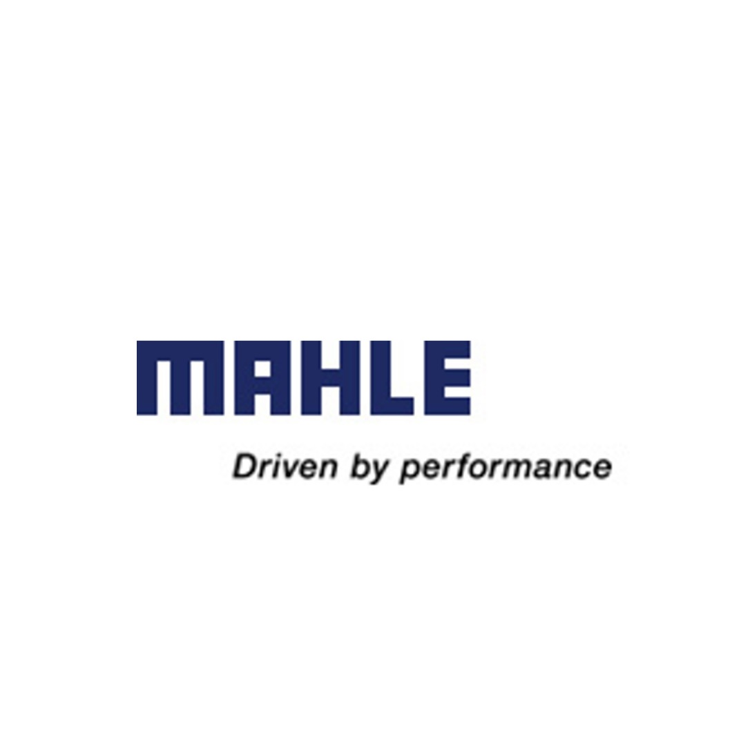 Mahle